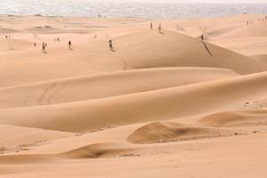 paisaje de dunas de arena foto