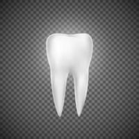 Realistic tooth illustration. Dental care and tooth restoration. Medicine icon. Vector illustration