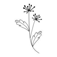 Cute flower botanical floral vector illustration outline hand drawn style design