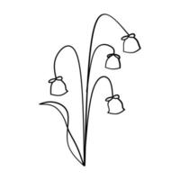 linda flor botánico floral vector ilustración contorno mano dibujado estilo diseño