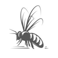 abeja aislado en blanco antecedentes vector