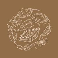 Cocoa. Hand drawing Cocoa beans, sketch of leaves, flowers and cocoa tree. Organic product. Doodle sketch for cafe, shop, menu. Parts of plants. For label, logo, emblem, symbol.Vector illustration vector