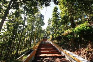 hormigón escalera en el selva y bosque Bóveda a el templo en el cima de la colina a en phra ese doi kong mu templo a meahongson provincia Tailandia foto