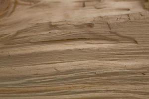 Tree trunk after being cut, background photo