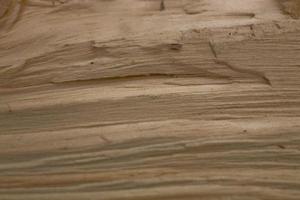 Tree trunk after being cut, background photo