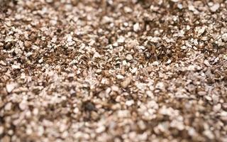 background with shiny fine beige pebbles, in close-up, photo