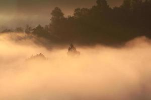 Golden light in Forested and mountain with sunrise in morning mist.Fog cover the jungle hill in Thailand photo