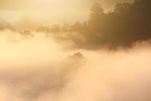 Golden light in Forested and mountain with sunrise in morning mist.Fog cover the jungle hill in Thailand photo