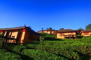 Beautiful resort and vallage is Chinese style with Tea Plantation in mist and sunrise shining on the mountain at Ban Rak Thai, Mae Hong Son province, Thailand. photo