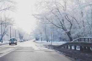 invierno paisaje con Fresco nieve y arboles foto