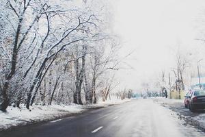 invierno paisaje con Fresco nieve y arboles foto