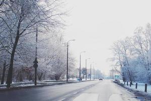 winter landscape with fresh snow and trees photo