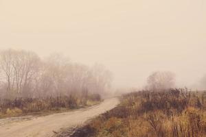 sad empty  foggy autumn morning with road and trees photo