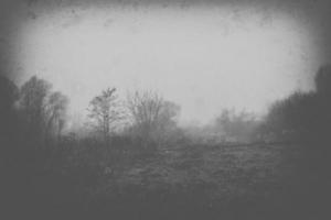 sad empty  foggy autumn morning with road and trees photo