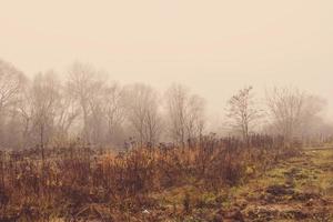 sad empty  foggy autumn morning with road and trees photo