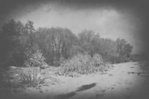 sad, empty, lonely, morning, with the road and snow at the beginning of winter photo