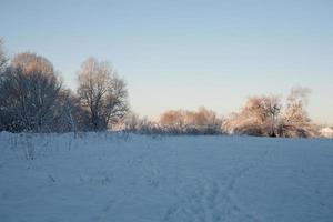 winter landscape with white beautiful snow trees and a blue cloudless sky photo