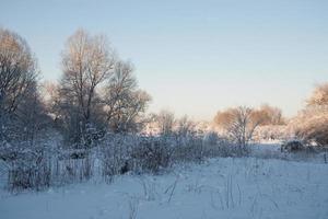 winter landscape with white beautiful snow trees and a blue cloudless sky photo
