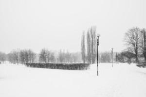 triste invierno blanco negro paisaje con arboles en el nieve en enero foto