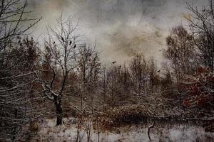 winter idyllic winter landscape with trees and with fresh snow photo