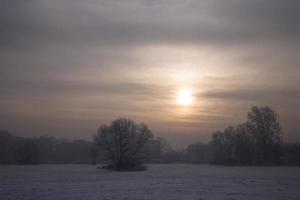 serene pastel winter morning with white snow and black trees and the sun piercing through the clouds in the sky photo