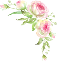 des roses Cadre. aquarelle clipart png