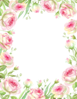 Rose telaio. acquerello clipart png