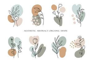 Aesthetic Abstract Shape with Floral Line Art vector