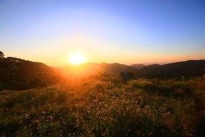 Beautiful bloming wild flowers fields and meadow in springtime on sunset and natural sunlight shining on mountain. photo