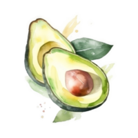 Watercolor Avocado isolated png