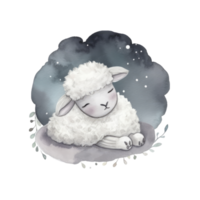 schattig waterverf nacht schapen. png