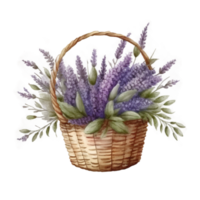 Aquarell Lavendel Blumen im Korb. png