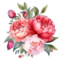 Watercolor peony flower. png