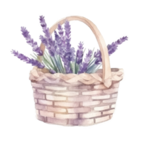 Watercolor lavender flowers in basket. png