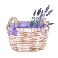 Watercolor lavender flowers in basket. png