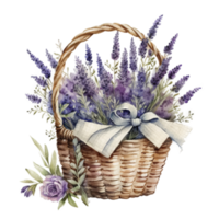 Watercolor lavender flowers in basket. png