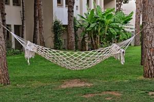 hammock on a summer day photo