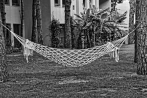 hammock on a summer day photo