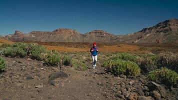 wandelen vrouw Aan teide, tenerife. Kaukasisch vrouw toerist Aan tenerife, kanarie eilanden video