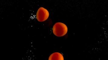 rot Tomaten fallen und schweben im Wasser, schwarz Hintergrund, schleppend Bewegung video
