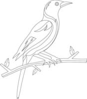 Bird Coloring Pages For Kids Free Vector