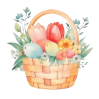 acuarela verano flores en cesta. png