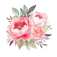 Watercolor peony flower. png