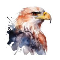 Watercolor eagle isolated. png