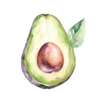Aquarell Avocado isoliert png