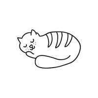 mano dibujado vector ilustración dormido gato.