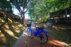 Clásico azul bicicleta estacionamiento en jardín cerca histórico ciudad ladrillo pared. foto