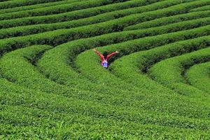 Beautiful landscape of asian woman extend the arms at Tea Plantation on the mountain, freedom and sucsess life photo