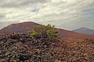 orignal volcanic landscapes from the Spanish island of Lanzarote photo