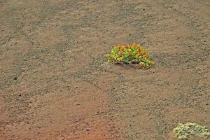 original volcánico paisajes desde el Español isla de lanzarote foto